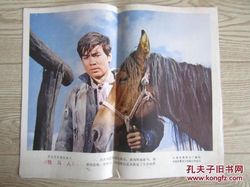 布鲁克斯托学院本科毕业证